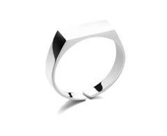 Stainless Steel Ring